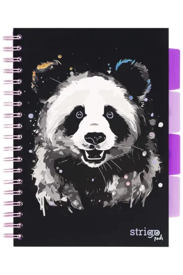 Strigo Ko�ozeszyt Pads B5 Panda kratka 100 kartek