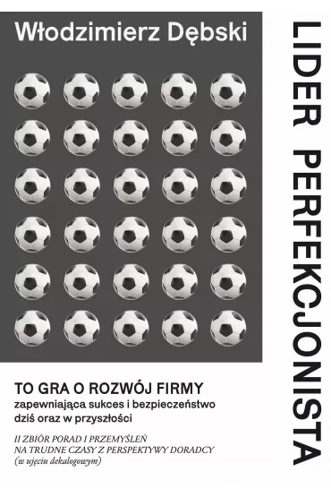 Lider perfekcjonista - W�odzimierz D�bski