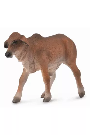 COLLECTA CIELE CZERWONE BRAHMAN ROZMIAR S BPZ