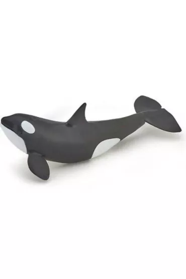 Orka m�oda