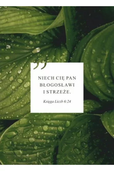 Koinonia Karnet Niech Ci� Pan b�ogos�awi - li�cie