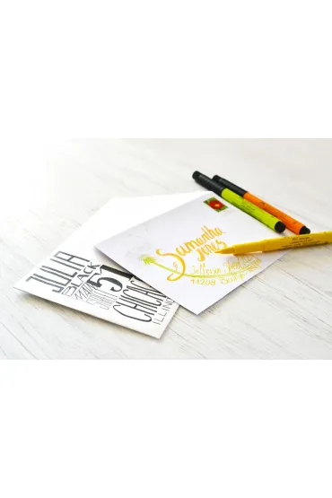 Faber-Castell Pisaki Pitt Artist Pen Brush Earth 12 szt.