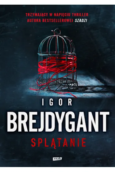 Spl�tanie - Igor Brejdygant