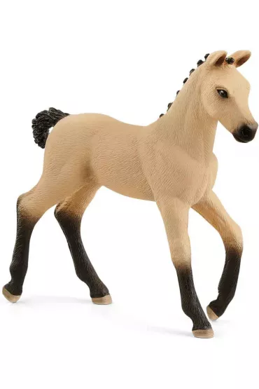 �rebi� Rasy Hanoverian, Red Dun
