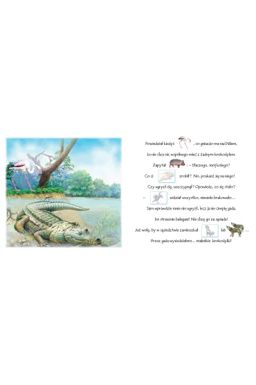 Ksi��eczka 200X190 Akademia rymowania. Zwierzaki z zoo  Naklejki SKRZAT 076295 - Wies�aw Drabik