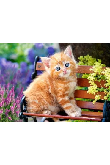 Puzzle 180 el. Kotek na �awce Castorland