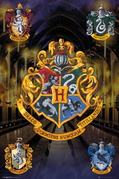 Harry Potter - plakat 61x91,5 cm