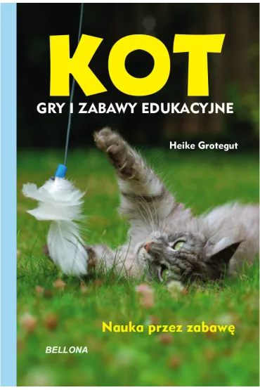 Kot. Gry i zabawy edukacyjne - Heike Grotegut