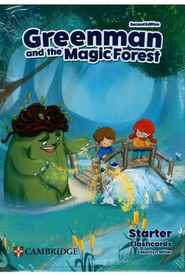 Greenman and the Magic Forest Starter Flashcards