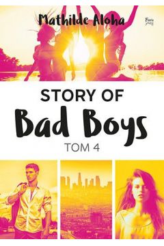 Story of Bad Boys. Tom 4