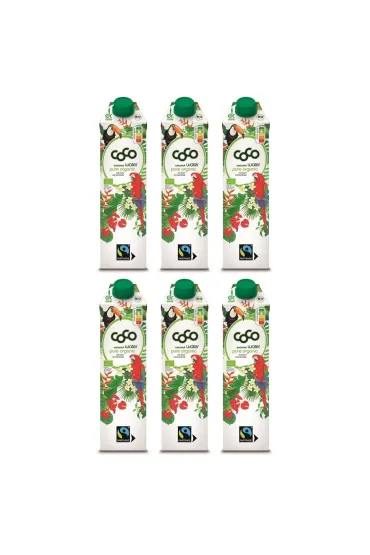 Coco Dr. Martins Woda kokosowa zestaw 6 x 1 l Bio