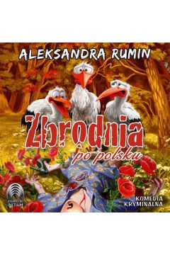 Audiobook Zbrodnia po polsku mp3