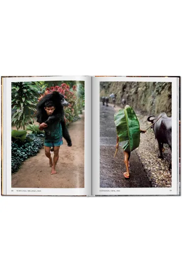 Animals - Steve McCurry