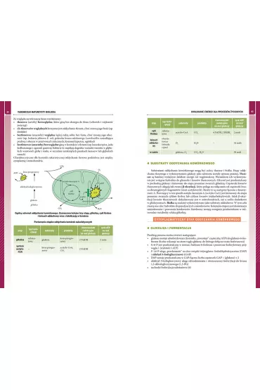 Vademecum. Matura 2022. Biologia - Maciej Miko�ajczyk, Jolanta Zygmunt