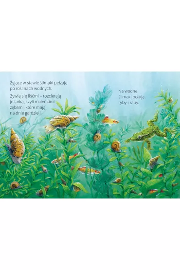W stawie. M�odzi Przyrodnicy
