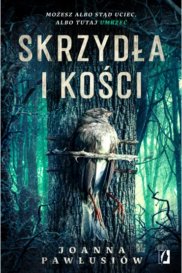 eBook Skrzyd�a i ko�ci mobi epub - Joanna  Paw�usi�w