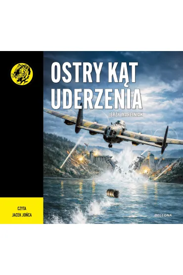 Audiobook Ostry k�t uderzenia mp3 - Jerzy Marciniak