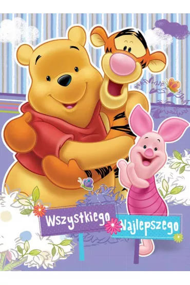 Verte Karnet XL Disney