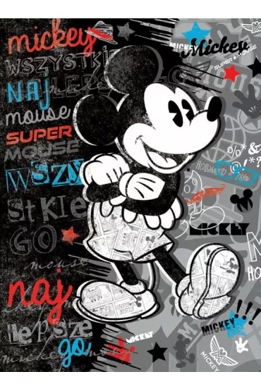 Verte Karnet XL Disney