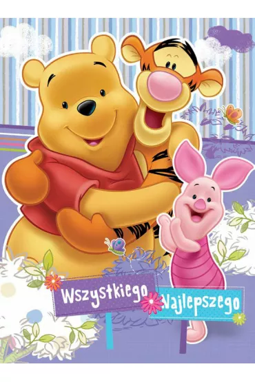 Verte Karnet XL Disney