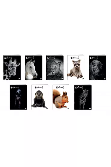 Elisa Zeszyt A5 Animals kratka 60 kartek 10 szt.