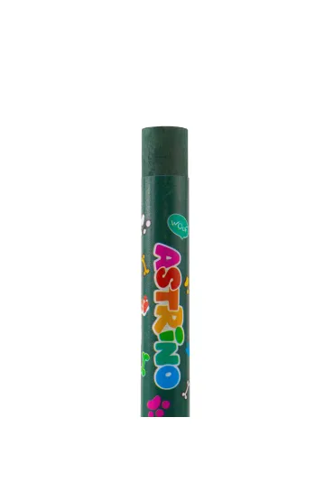 Pastele olejne 24kol ASTRA 313125002