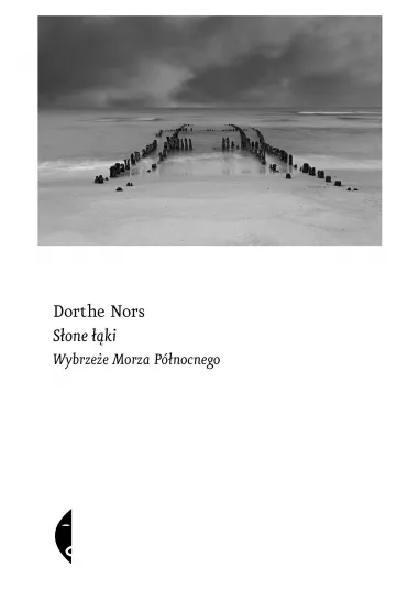 S�one ��ki. Wybrze�e Morza P�nocnego - Dorthe Nors