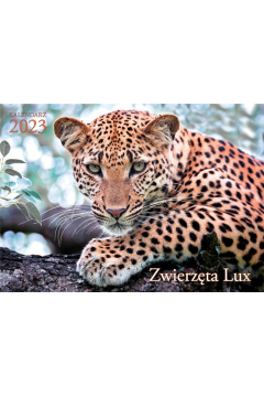 Kalendarz 2023 cienny Lux Zwierzta