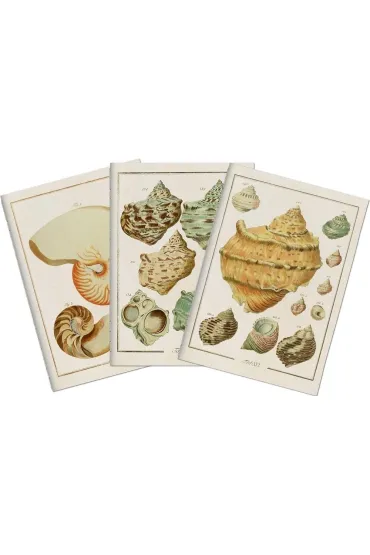 Skona Ting Stone 507 Zestaw 3 notatnik�w A6 - muszle