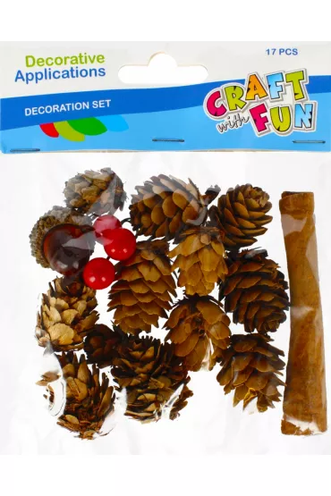 Craft with Fun Szyszki naturalne z akcesoriami 17 szt.