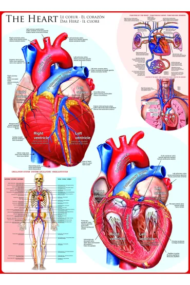 Puzzle 1000 el. The Heart Eurographics