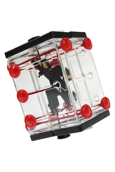 �amig��wka Brainstring Houdini Recent Toys poziom 2,5/5 G3 - Guido Lap