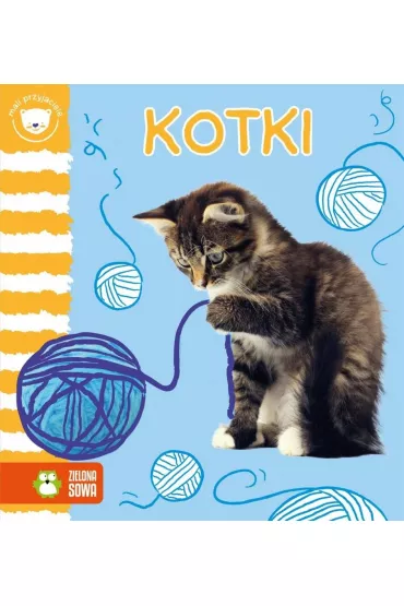 Mali przyjaciele. Kotki