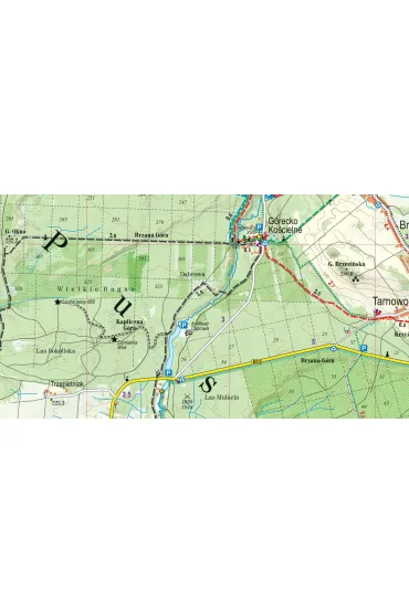 Roztocze �rodkowe Puszcza Solska mapa turystyczna 1:50 000 laminat 2023