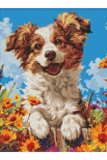 Ideyka Diamentowa mozaika bez ramy - Pies w kwiatach 30x40cm
