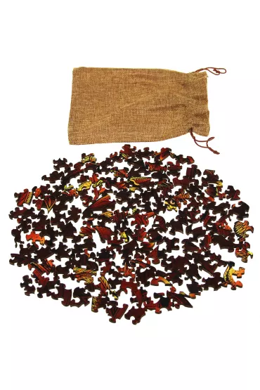 �amig��wka Huzzle Cast A&A - poziom 2/6 G3 - Vesa Timonen