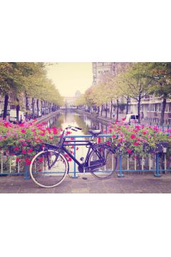 Amsterdam Wiosn Rower wrd Kwiatw - plakat