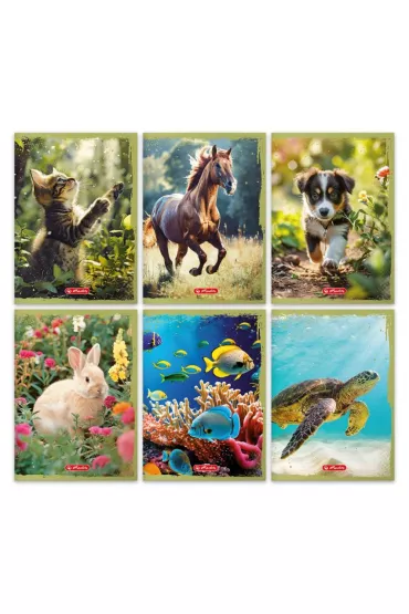 Herlitz Zeszyt A5 Animals mix linia, 70g 32 kartki