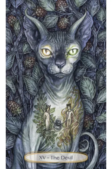 Soul Cats Tarot, karty do wr�enia - Leeza Robertson