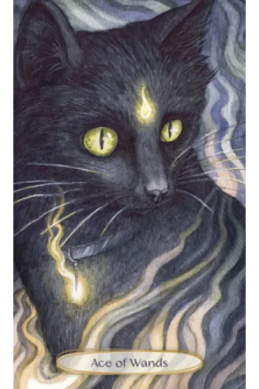 Soul Cats Tarot, karty do wr�enia - Leeza Robertson