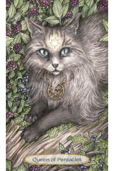 Soul Cats Tarot, karty do wr�enia - Leeza Robertson
