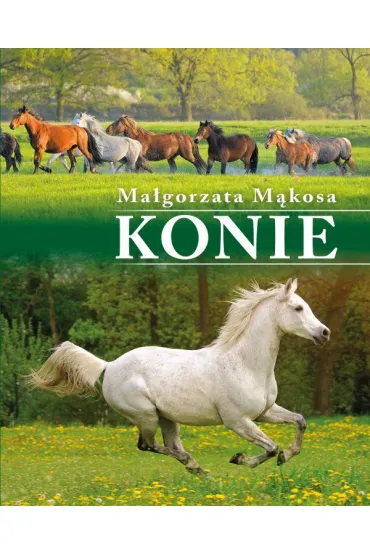 Konie - Ma�gorzata  M�kosa