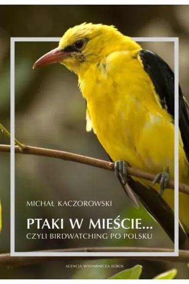 Ptaki w mie�cie czyli birdwatching po polsku - Micha� Kaczorowski