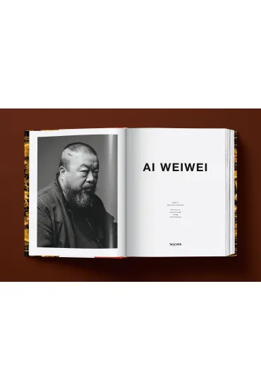 Ai Weiwei. Updated Edition