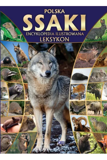 Ssaki encyklopedia ilustrowana leksykon