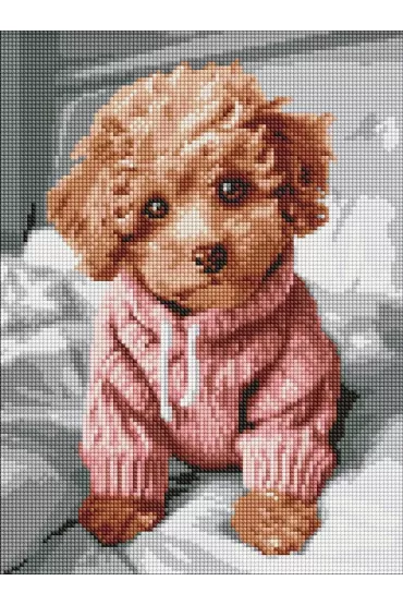 Ideyka Diamentowa mozaika - Magiczny Maltipoo 30x40cm