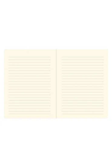 Notatnik Midi For I Know the Plans I Have for You Peter Pauper Press