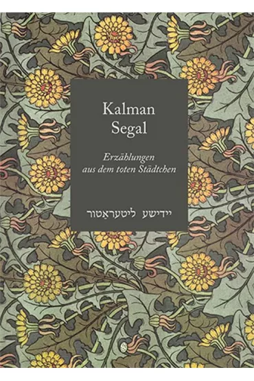 Erz�hlungen aus dem toten St�dtchen - Kalman Segal