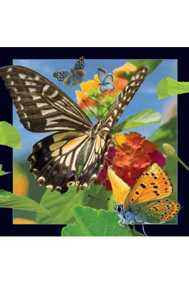 Worth Keeping Poczt�wka 3D Motyl