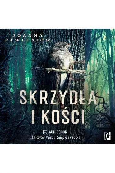 Audiobook Skrzyd�a i ko�ci mp3 - Joanna  Paw�usi�w